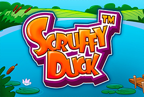 Scruffy Duck