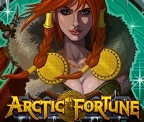 Arctic Fortune