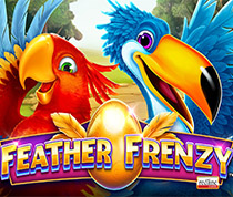 Feather Frenzy