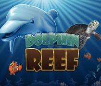 Dolphin Reef