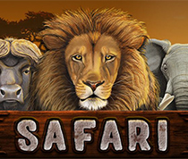 Safari