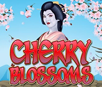 Cherry Blossoms