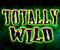 Totally Wild