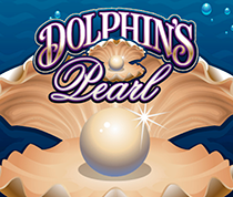 Dolphin's Perl