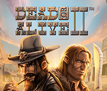 Dead Or Alive 2