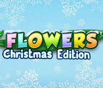Flowers Christmas